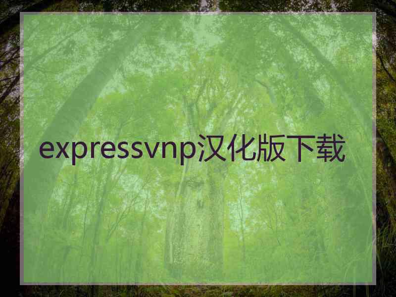 expressvnp汉化版下载