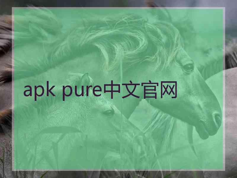 apk pure中文官网