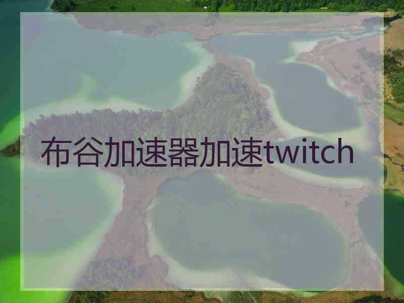 布谷加速器加速twitch