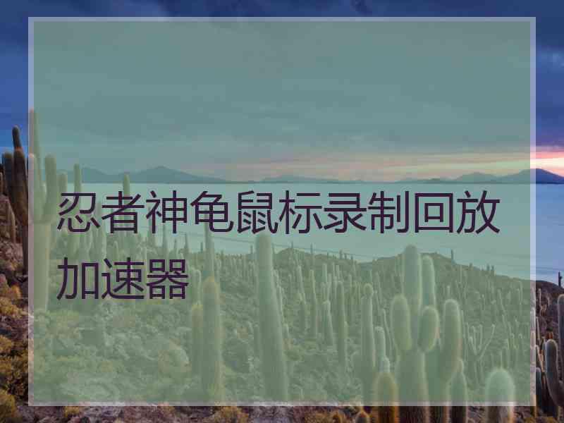 忍者神龟鼠标录制回放加速器