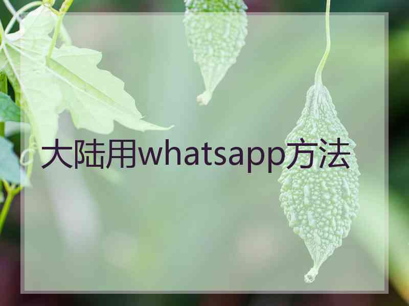 大陆用whatsapp方法