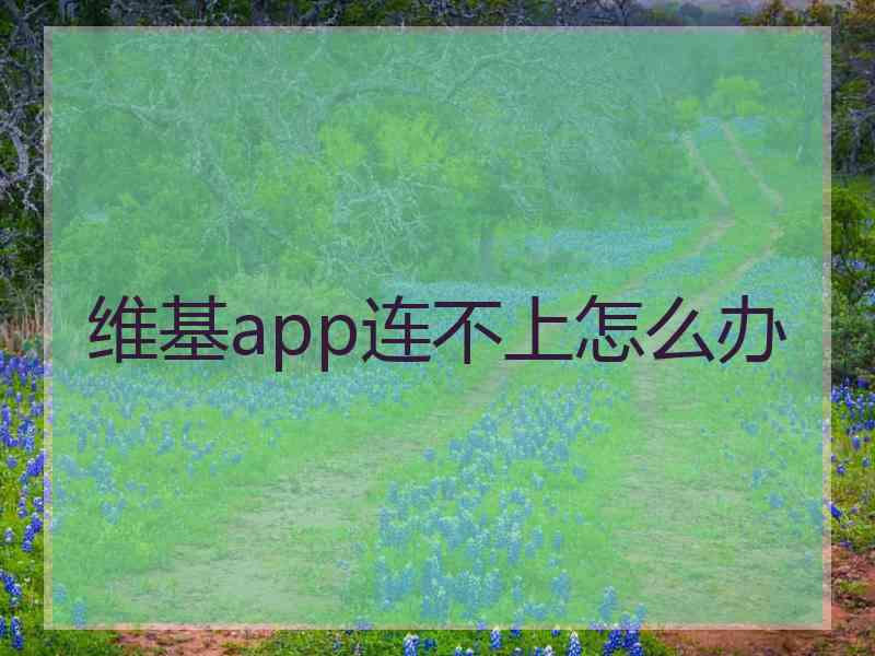 维基app连不上怎么办