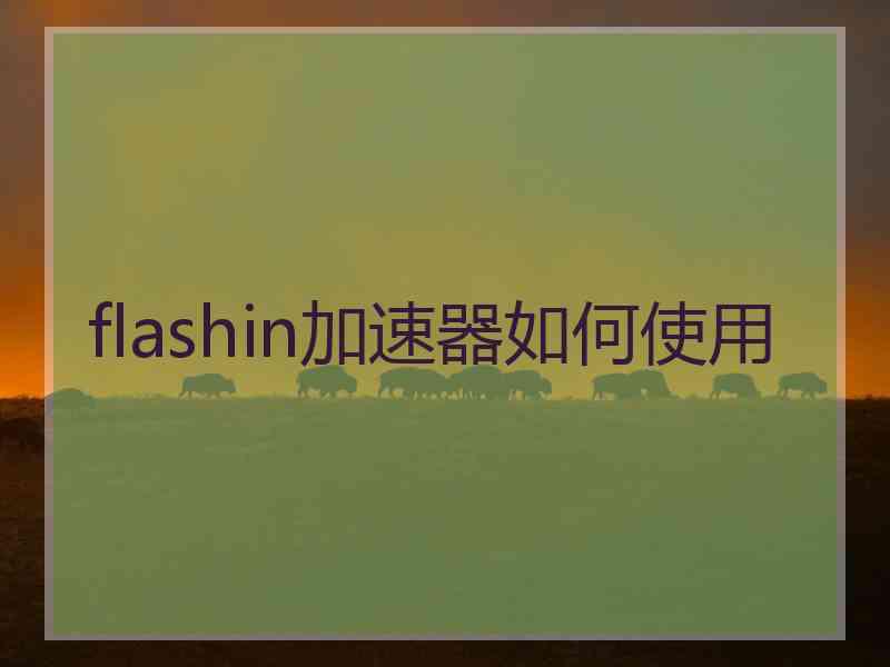 flashin加速器如何使用