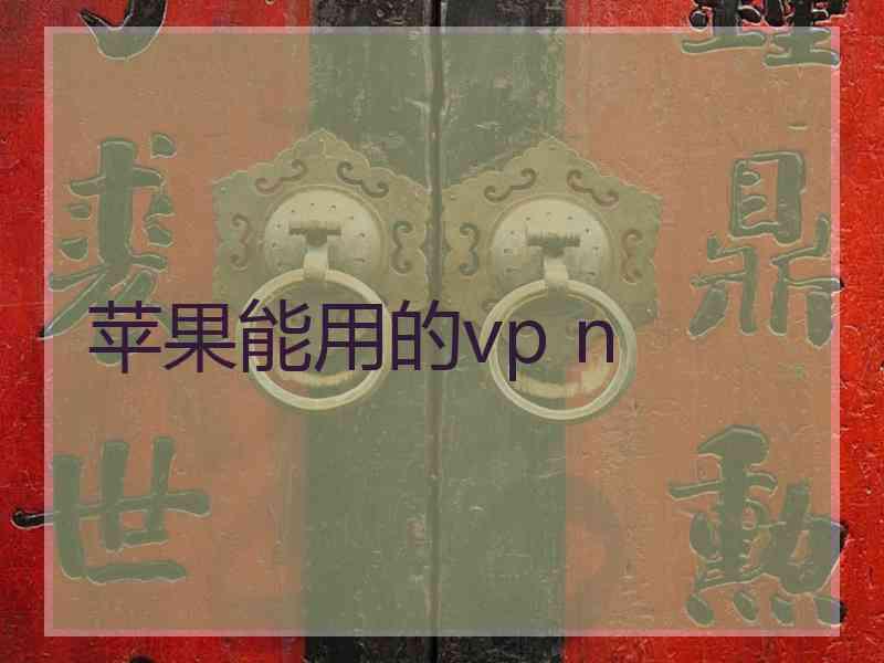 苹果能用的vp n