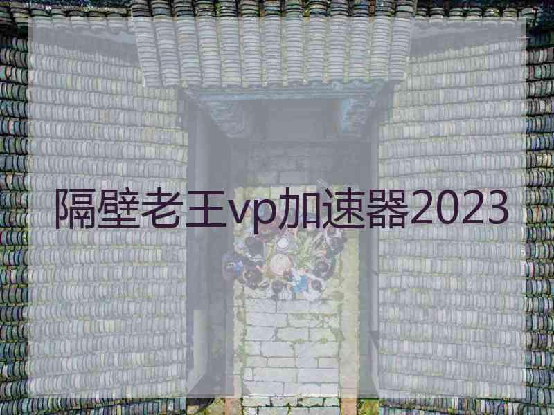 隔壁老王vp加速器2023