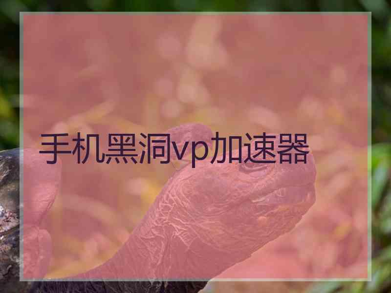 手机黑洞vp加速器