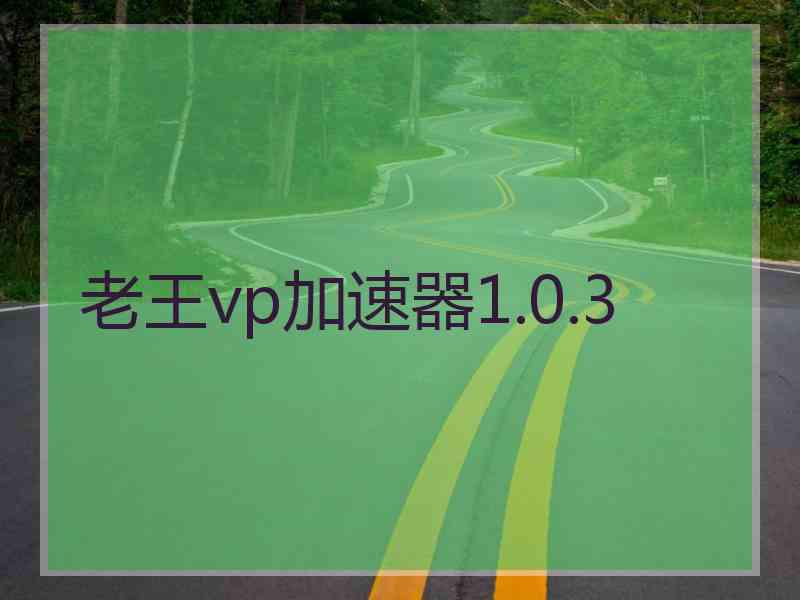 老王vp加速器1.0.3