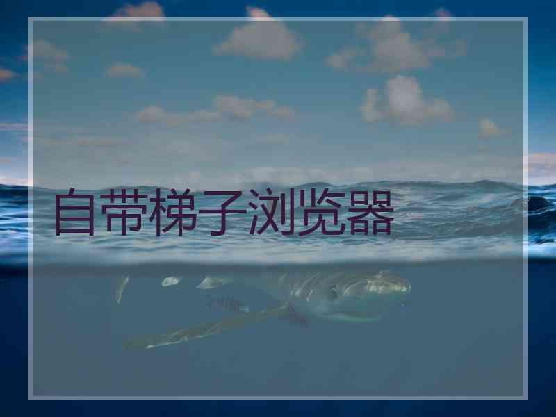 自带梯子浏览器