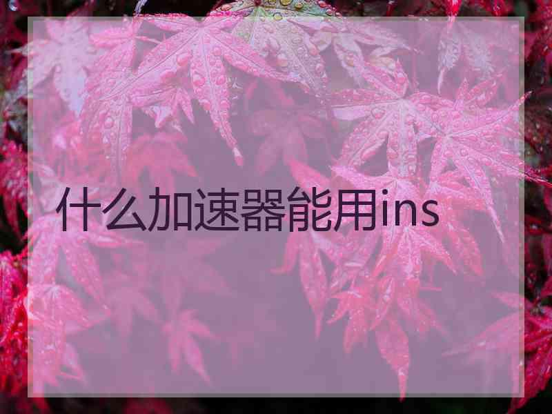 什么加速器能用ins