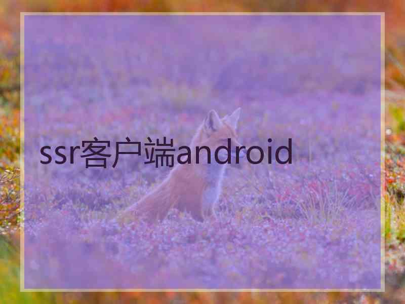 ssr客户端android