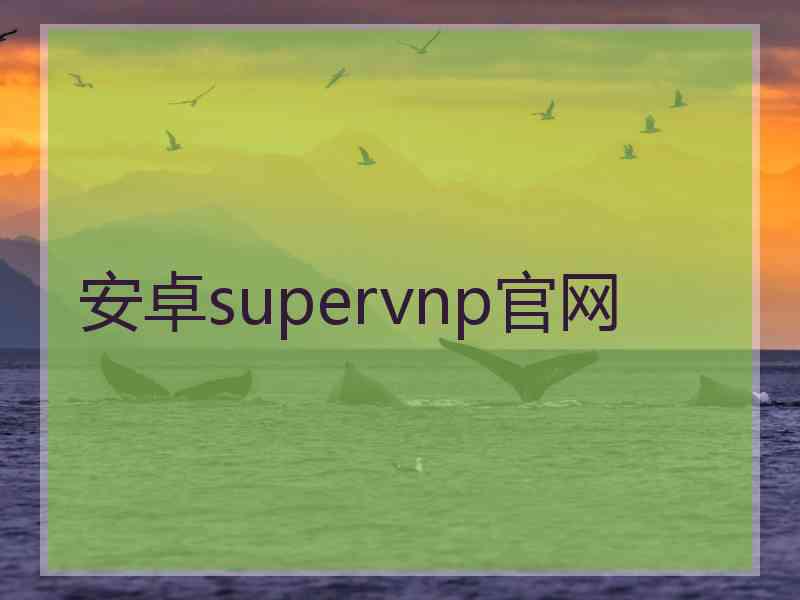 安卓supervnp官网