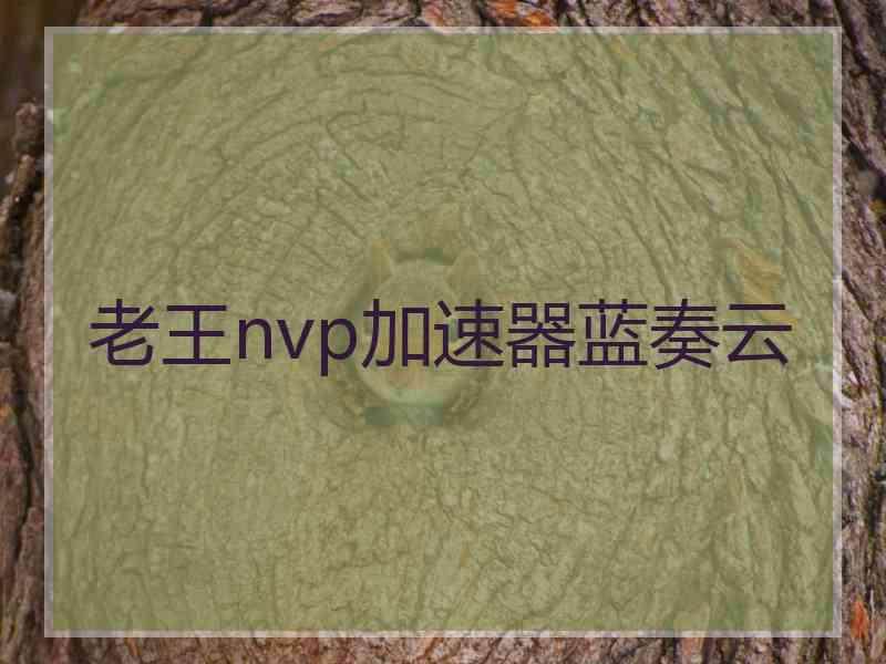 老王nvp加速器蓝奏云