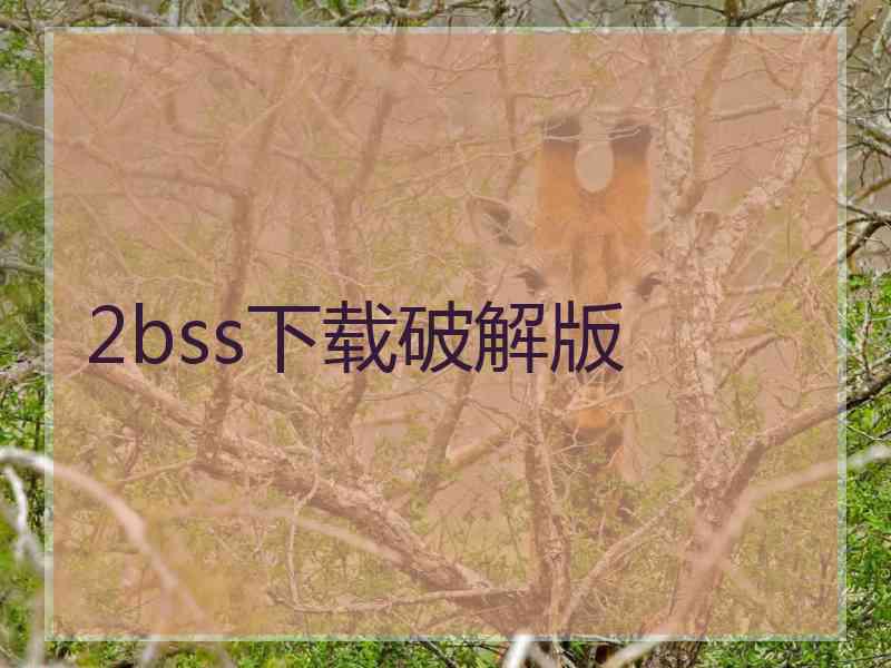 2bss下载破解版