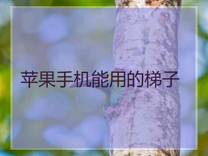 苹果手机能用的梯子