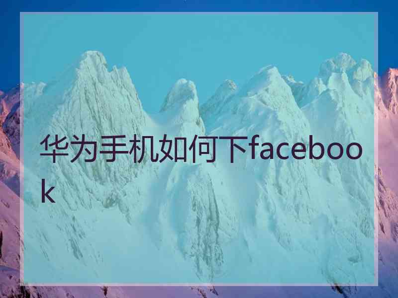 华为手机如何下facebook