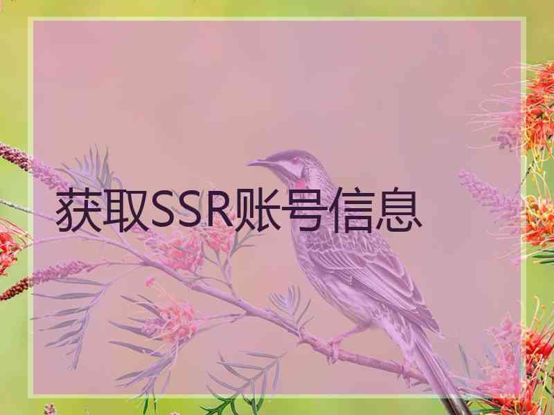 获取SSR账号信息