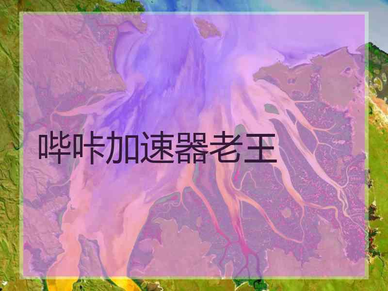 哔咔加速器老王