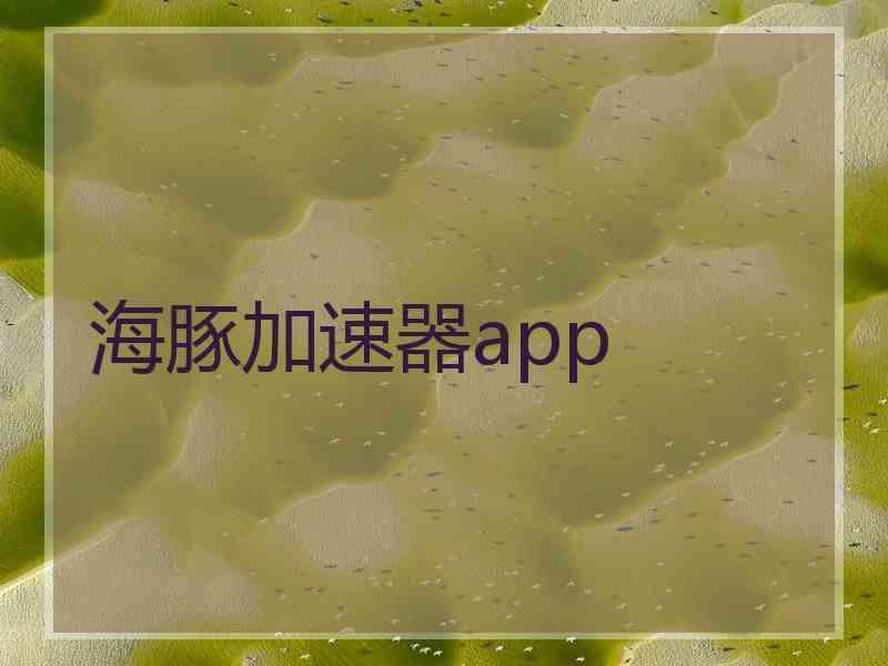 海豚加速器app