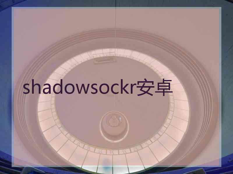 shadowsockr安卓