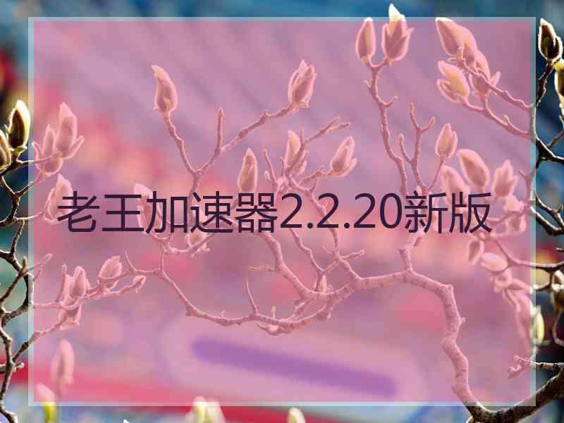 老王加速器2.2.20新版