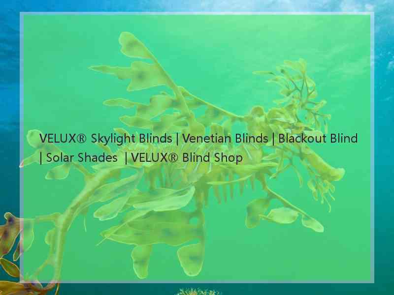 VELUX® Skylight Blinds | Venetian Blinds | Blackout Blind | Solar Shades  | VELUX® Blind Shop