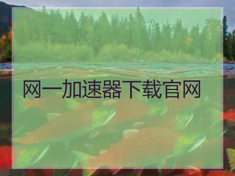 网一加速器下载官网