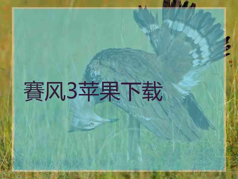 賽风3苹果下载