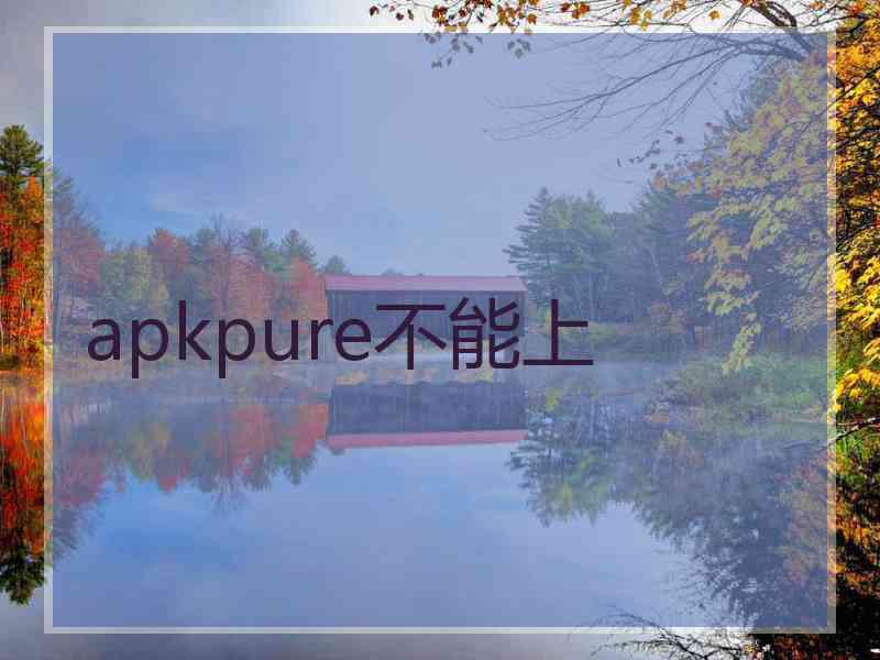 apkpure不能上