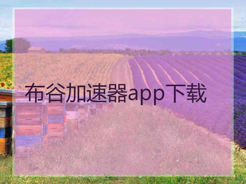 布谷加速器app下载