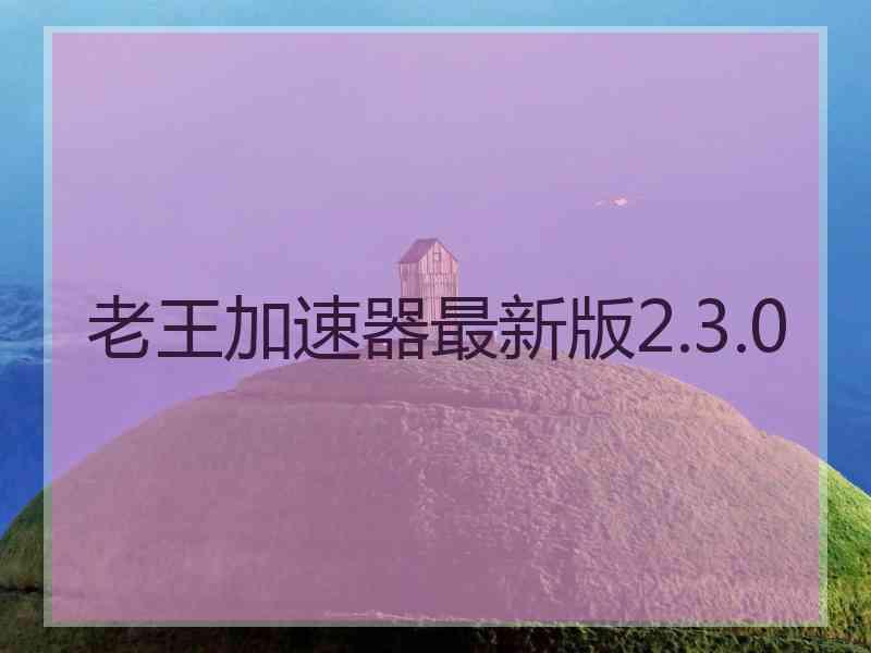 老王加速器最新版2.3.0