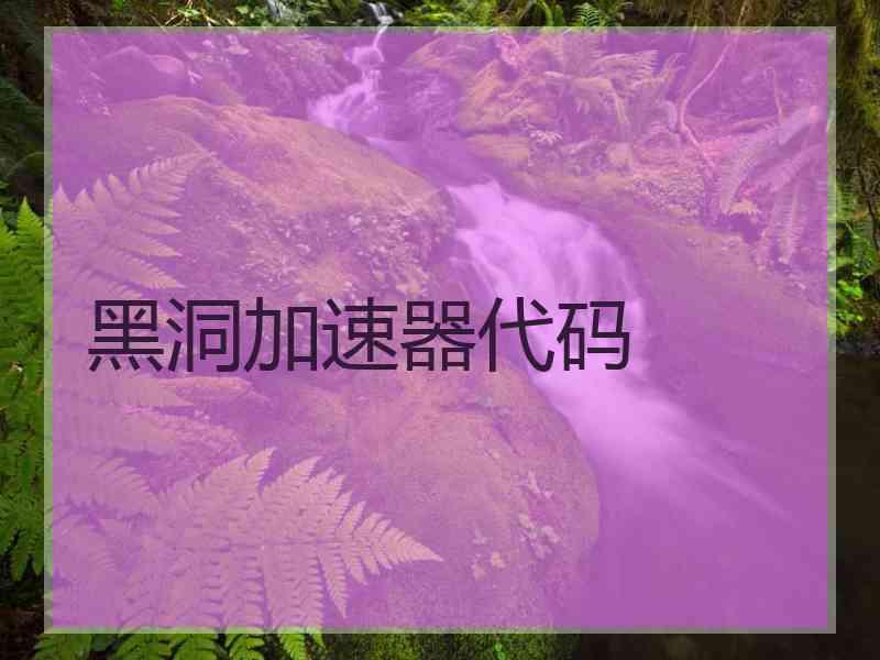 黑洞加速器代码