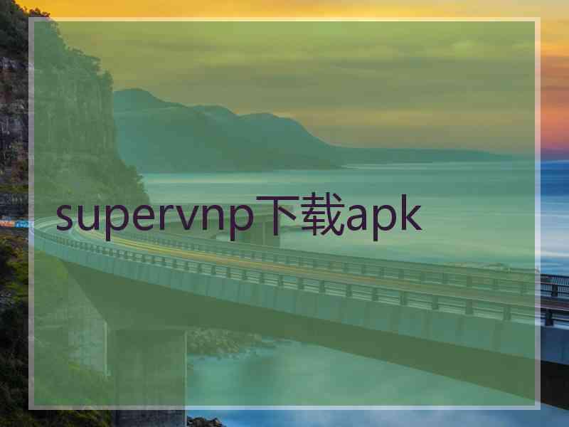 supervnp下载apk