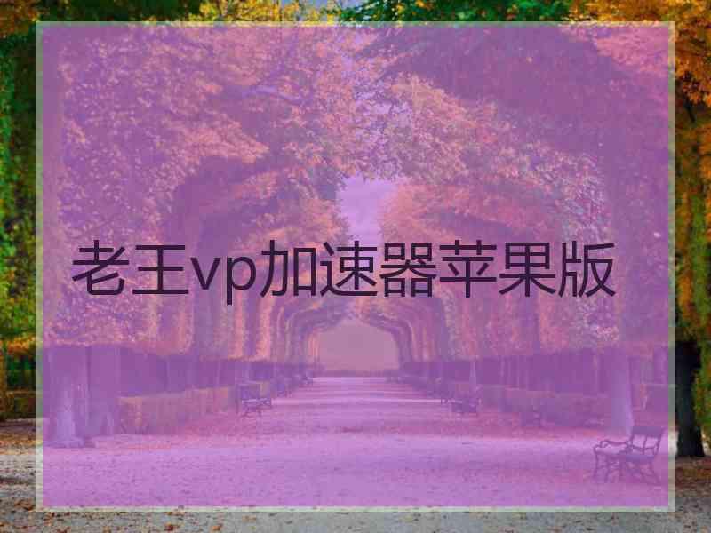 老王vp加速器苹果版