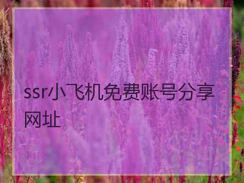 ssr小飞机免费账号分享网址