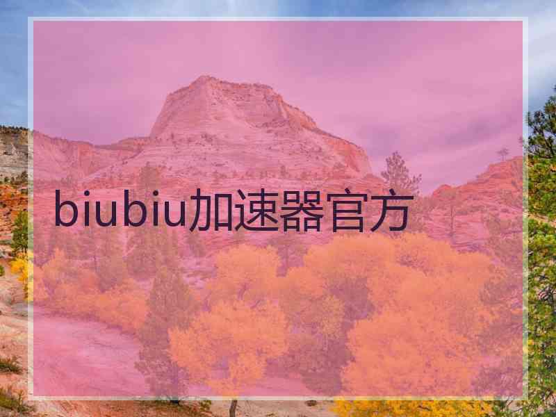 biubiu加速器官方