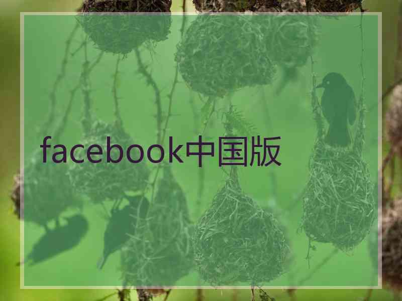 facebook中国版