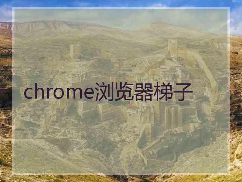 chrome浏览器梯子