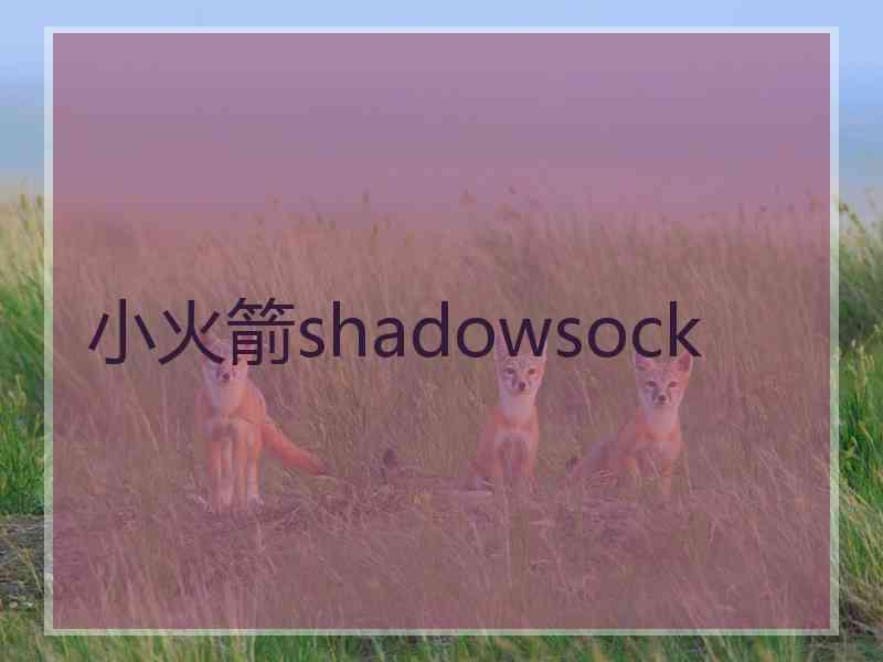 小火箭shadowsock