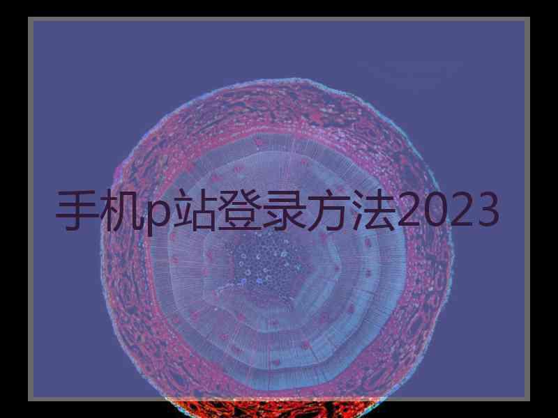 手机p站登录方法2023