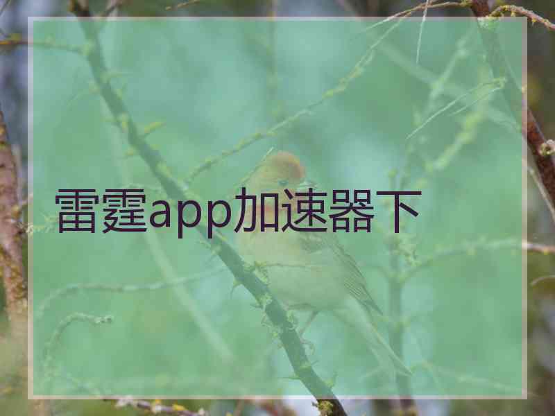 雷霆app加速器下