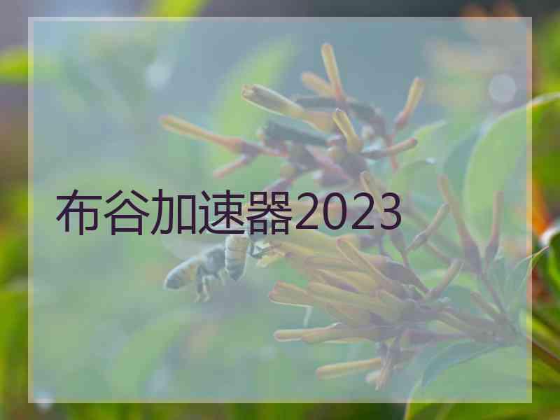 布谷加速器2023