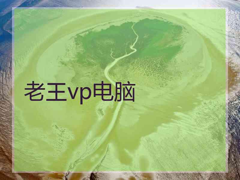 老王vp电脑