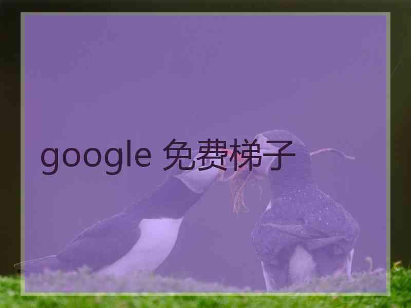 google 免费梯子