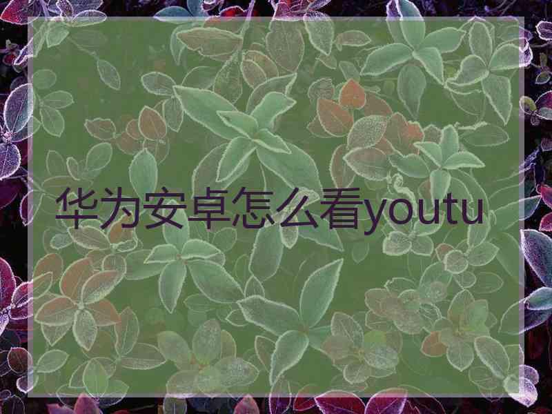 华为安卓怎么看youtu