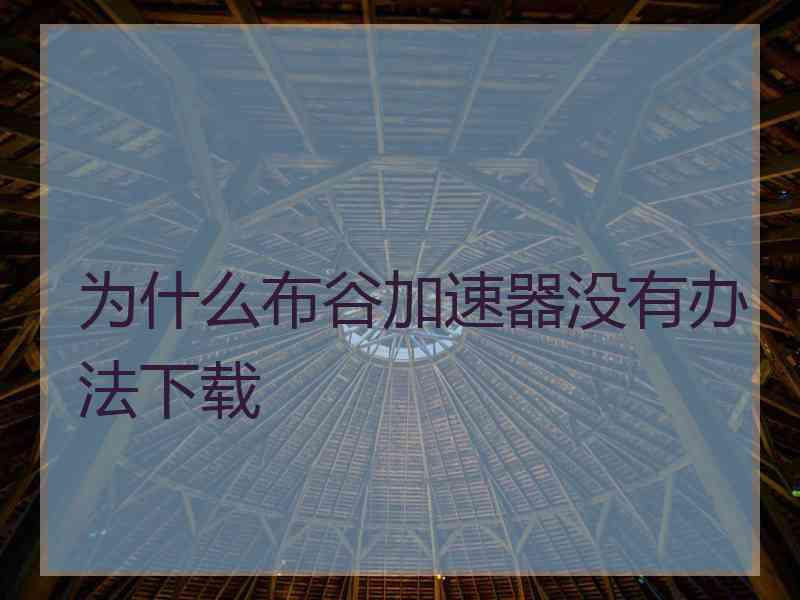 为什么布谷加速器没有办法下载