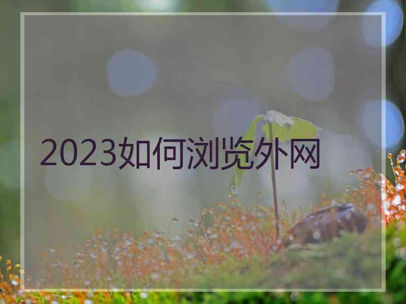 2023如何浏览外网