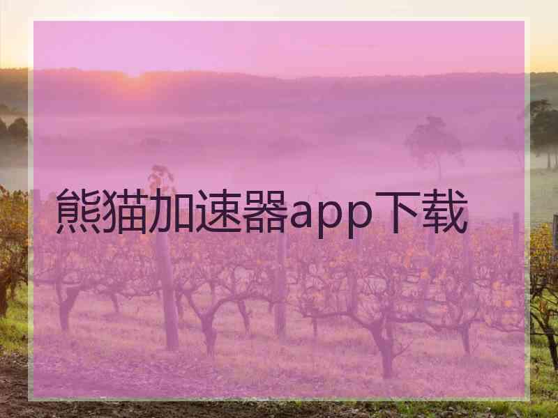 熊猫加速器app下载