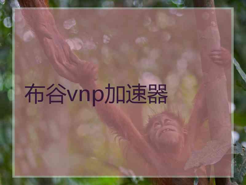 布谷vnp加速器