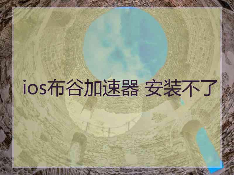 ios布谷加速器 安装不了