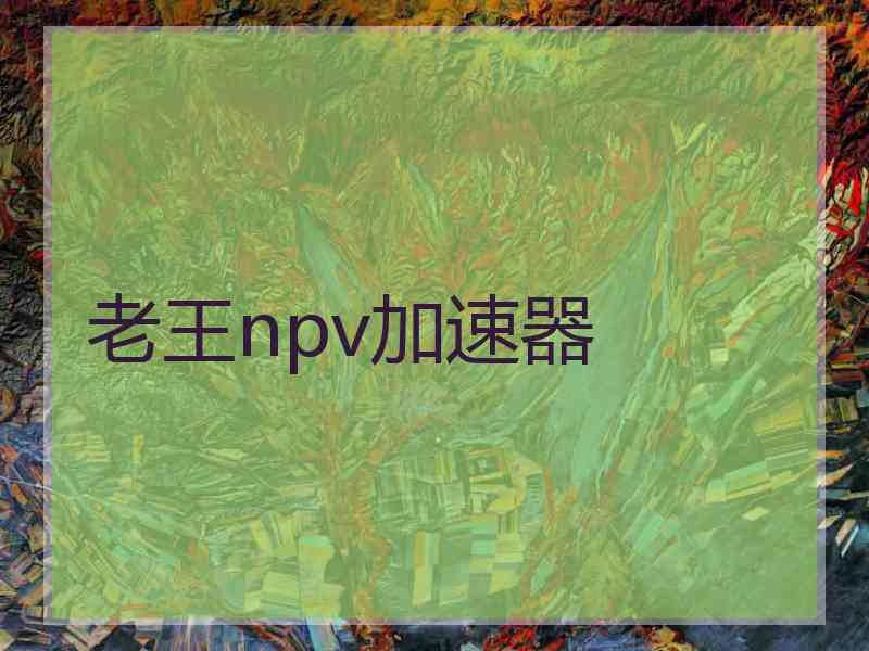 老王npv加速器